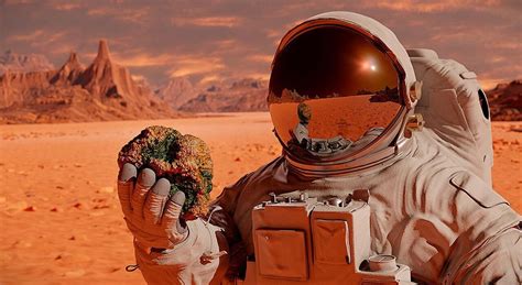 Жизнь на Марсе (Life on Mars)
 2024.04.25 10:08